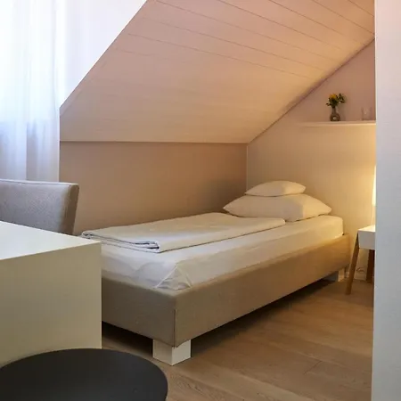 Gaestehaus Am Wasserschloss & Restaurant Wasserschloss 3* Inzlingen